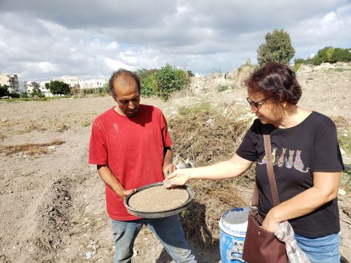 edible-cities-network-awards-winner-plot-of-land-seeds