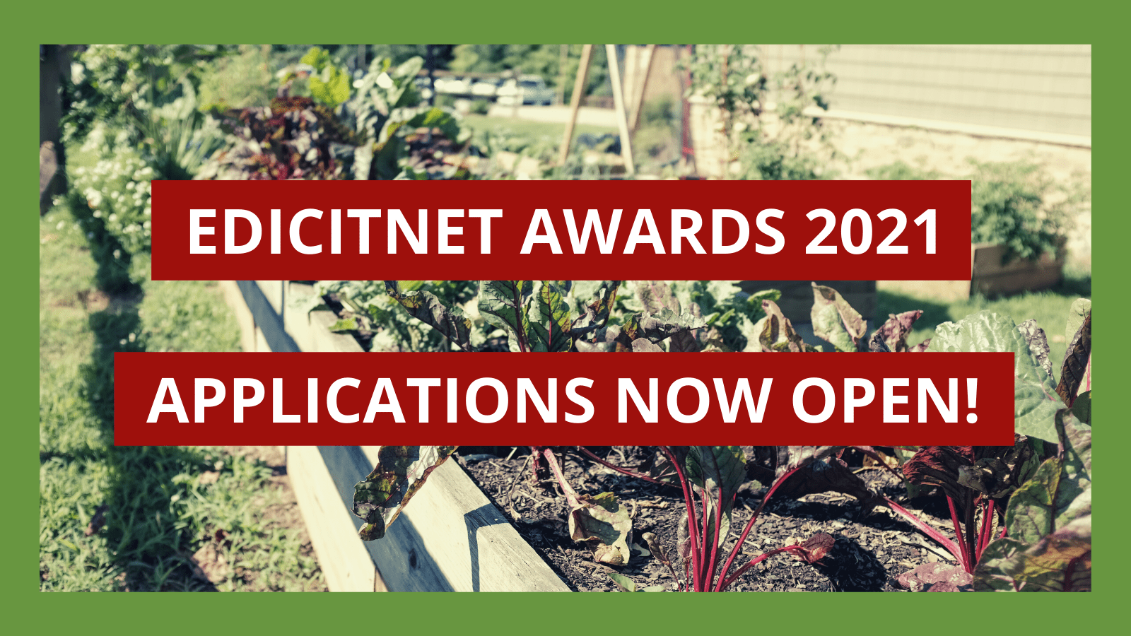 EDICITNET AWARDS 2021(2)-min EDICITNET AWARDS 2021(2)-min