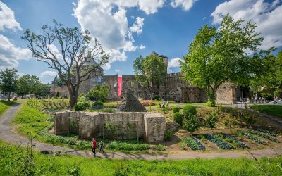 Staff Exchange in Front-Runner-City Andernach