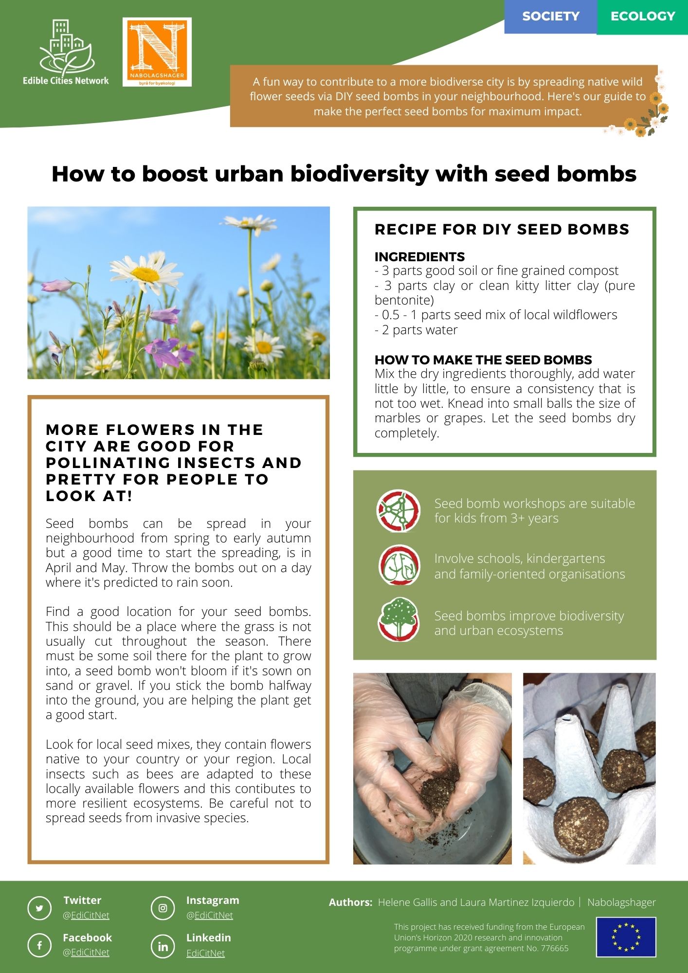 How to boost urban biodiversity with seed bombs