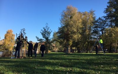 Fruit Tree Pruning Workshop in the Outskirts of Berlin