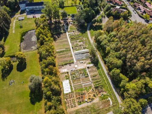 Linderud community garden awarded at the Oslo Municipality's Garden Awards 2022