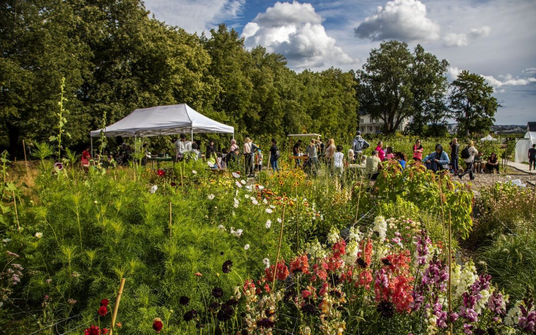 Linderud community garden awarded at the Oslo Municipality's Garden Awards 2022