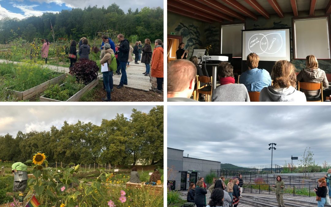 Community Garden Linderud Gard Okern Portal Rooftop Farm