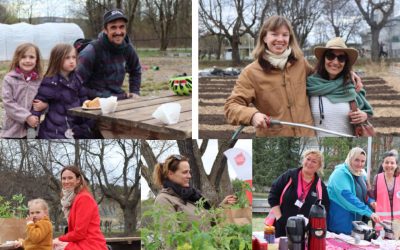 Oslo Living Lab: Linderud Community Garden Reopens to the Public!