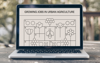 New playbook “Growing Jobs in Urban Agriculture” offers practical insights into developing sustainable business models in urban agriculture