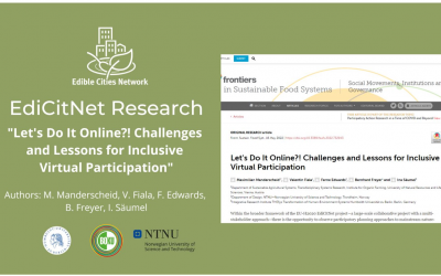 New EdiCitNet Publication: “Let’s Do It Online!? Challenges and Lessons for Inclusive Virtual Participation
