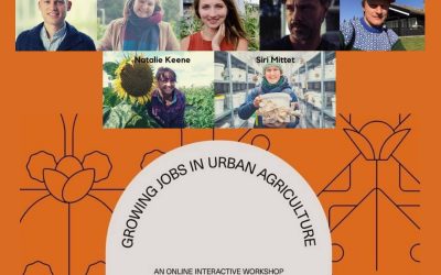 Flashback to the interactive workshop “Growing Jobs in Urban Agriculture” in Oslo in 2020