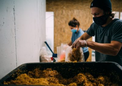 Pilzling urban mushroom farm in Cologne