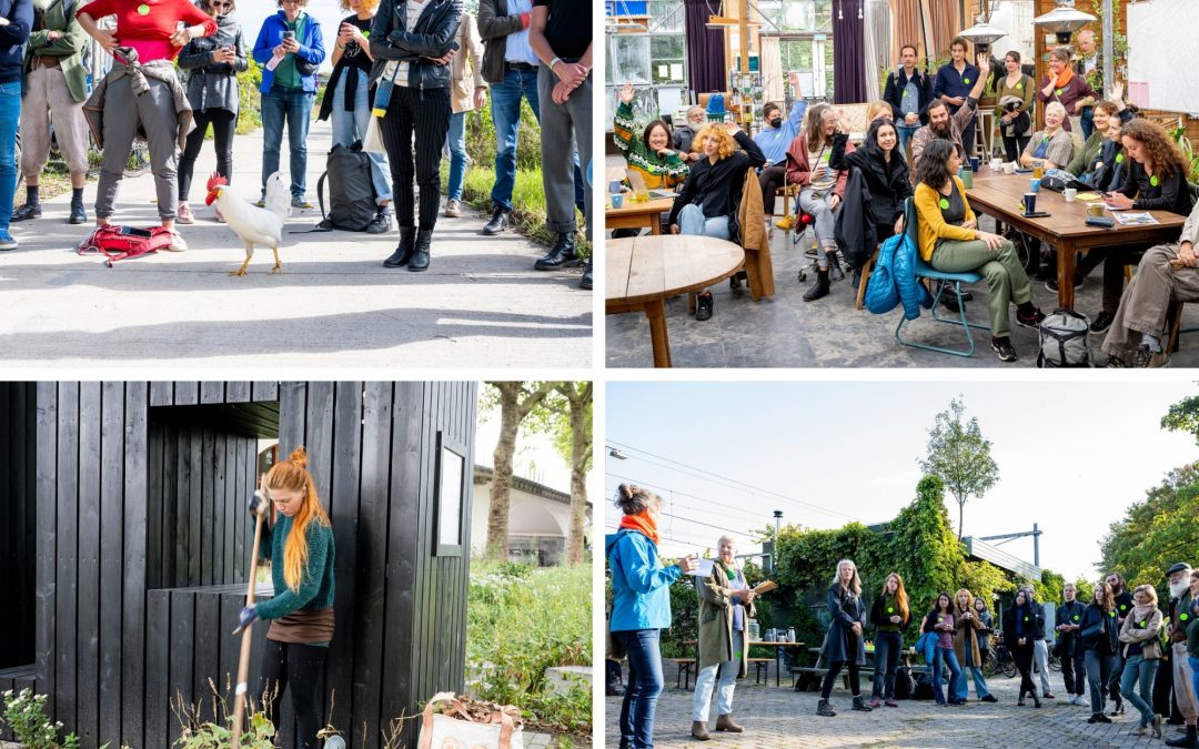 Rotterdam Green Initiatives Network Urban Farming