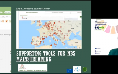 ICRA presents the toolbox in the webinar “Innovation for SDGs: inspirational tools towards sustainability challenges.”