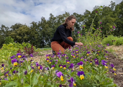 Founder Maria Buch tends to pansies, one of the most popular edible flowers
