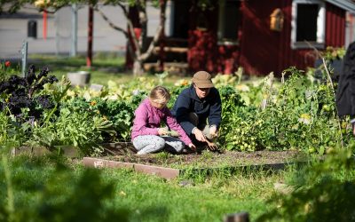 The City of Oslo joined the “Food System Change Online Congress” in March to present Oslo as a city assuming responsibility for food production.