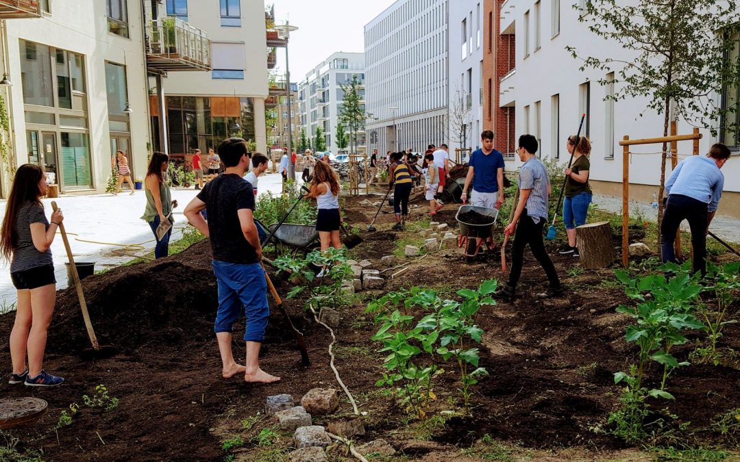 Food Forest. Spreeacker. Spreefeld.