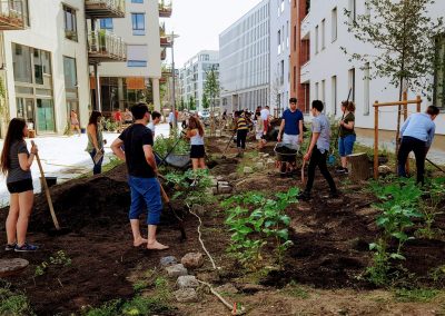 Food Forest. Spreeacker. Spreefeld.