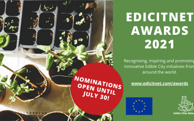APPLICATIONS FOR THE EDICITNET AWARDS 2021 ARE NOW OPEN
