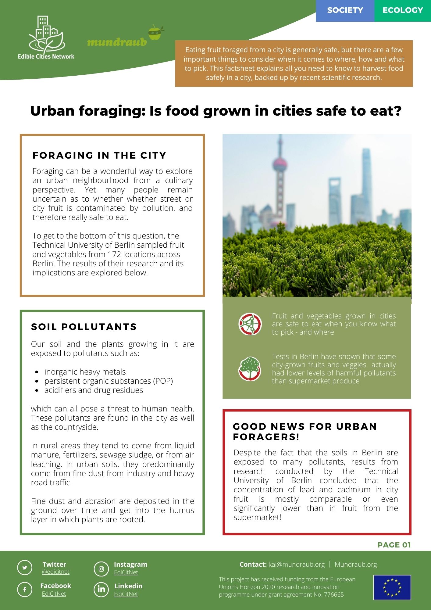 Urban foraging factsheet from Mundraub - edicitnet