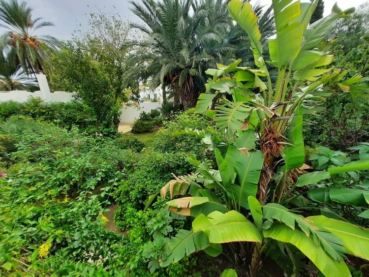 Third technical visit: The rebirth of an Andalusian nourishing garden