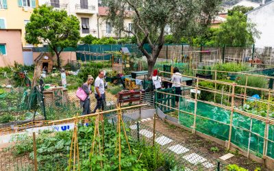 Workshop Organised by UT SEMIDE and the City of Nice Looks to Integrate 7 Community Gardens from Nice into the Edible Cities Network