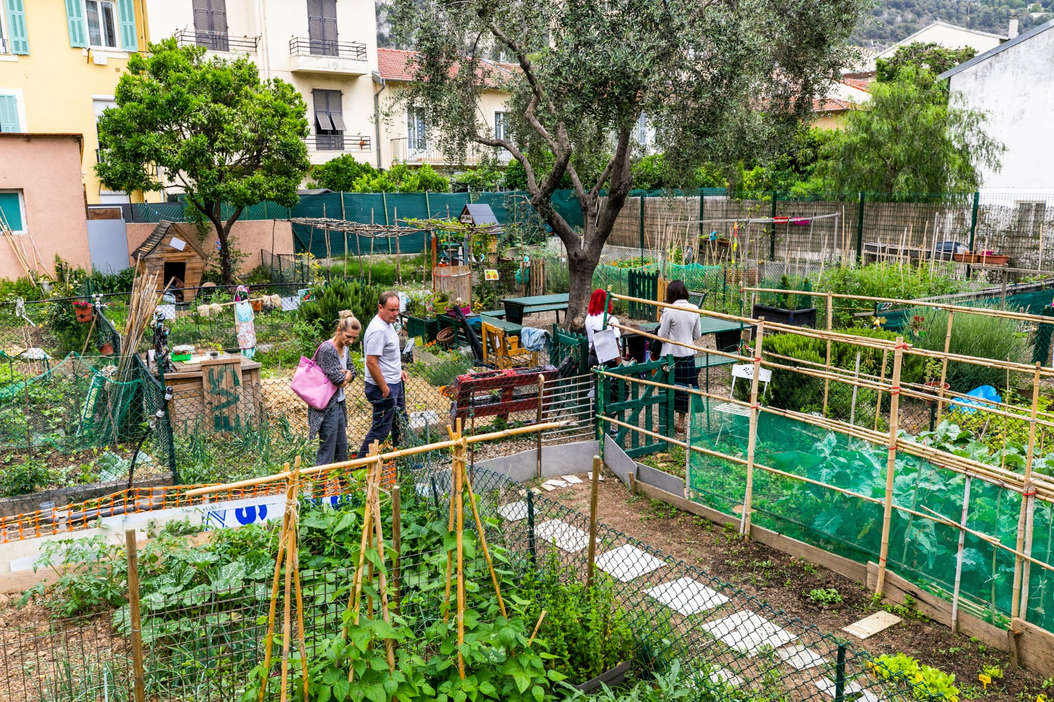 food being sold in supermarket food systems