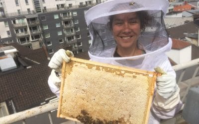 Nabolagshager won silver medal at annual Norwegian Honey Championship