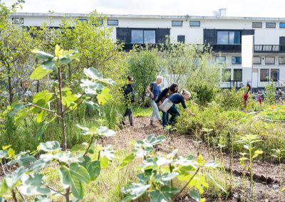 Rotterdam Urban Farms Sustainable City Edible Cities Network