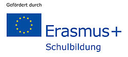 Erasmus Schulbildung