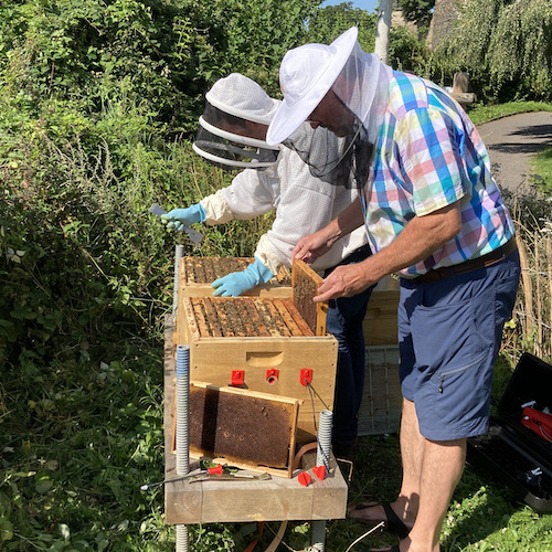 Digital Beehive Project