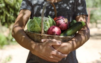 New Publication: Successful scaling of Edible City Solutions to promote food citizenship and sustainability in food system transitions