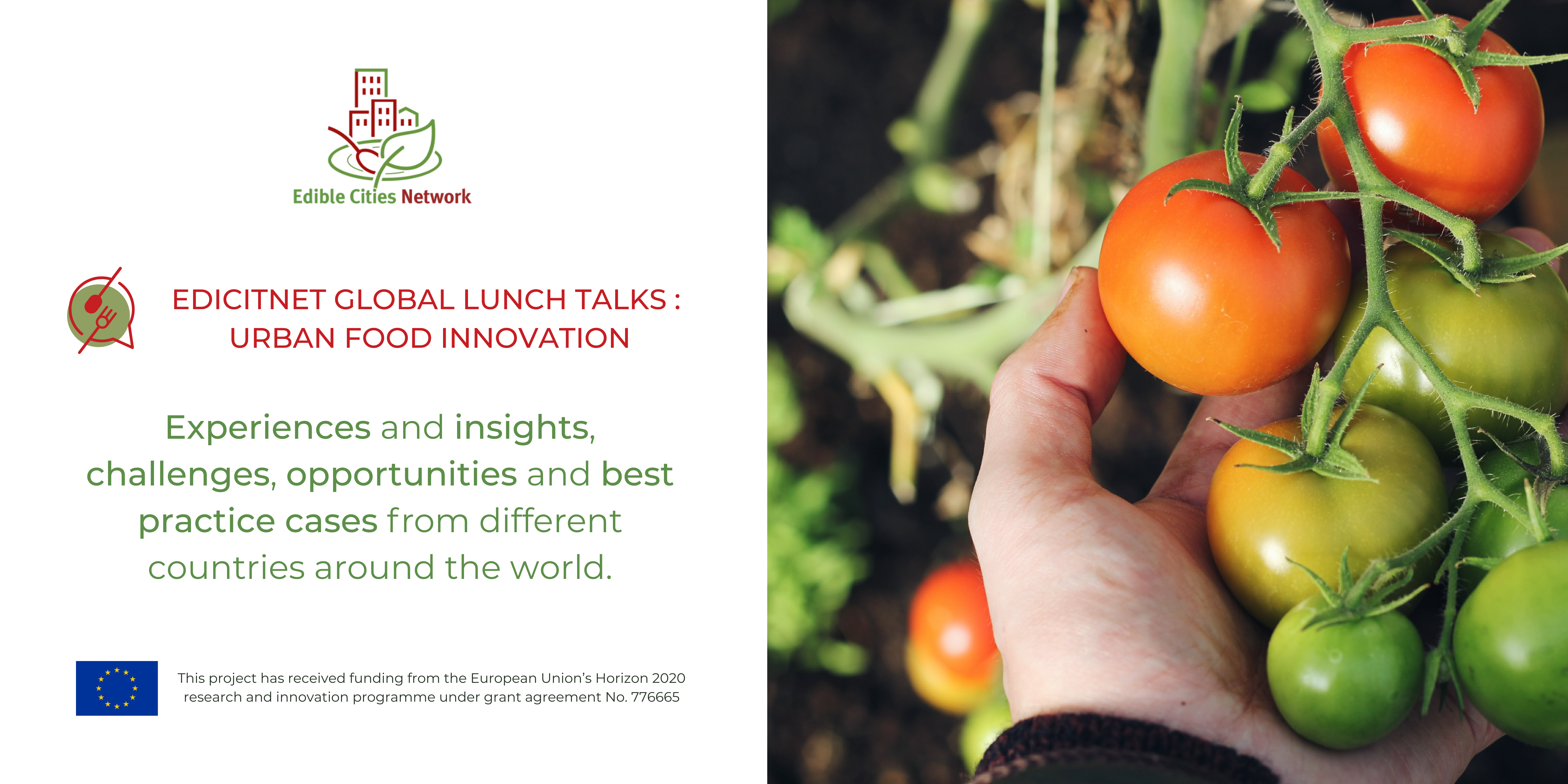 webinar lunch talks edicitnet urban food innovation